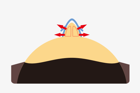 鼻腔全体の広がりを示すイメージ画像