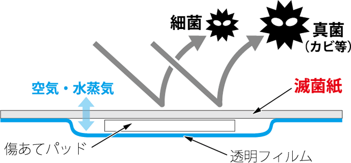 滅菌紙による菌の汚染リスクを低減するイメージ図
