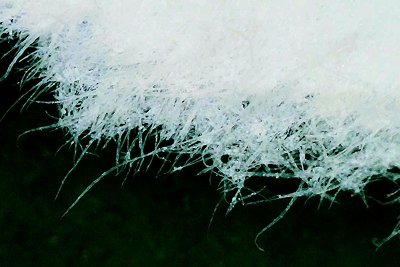 コピー用紙の繊維の拡大写真