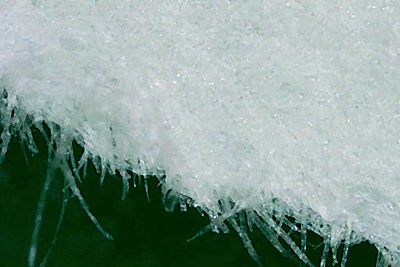 滅菌紙の繊維の拡大写真