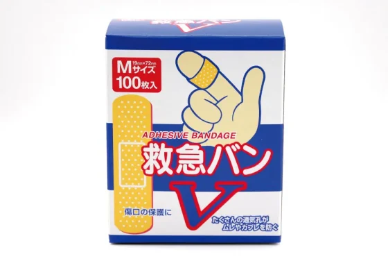 BaV_M100_P_Fr01