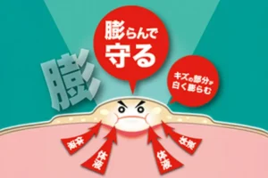 体液を保持